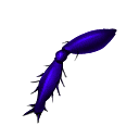 Deep Beetle Legs