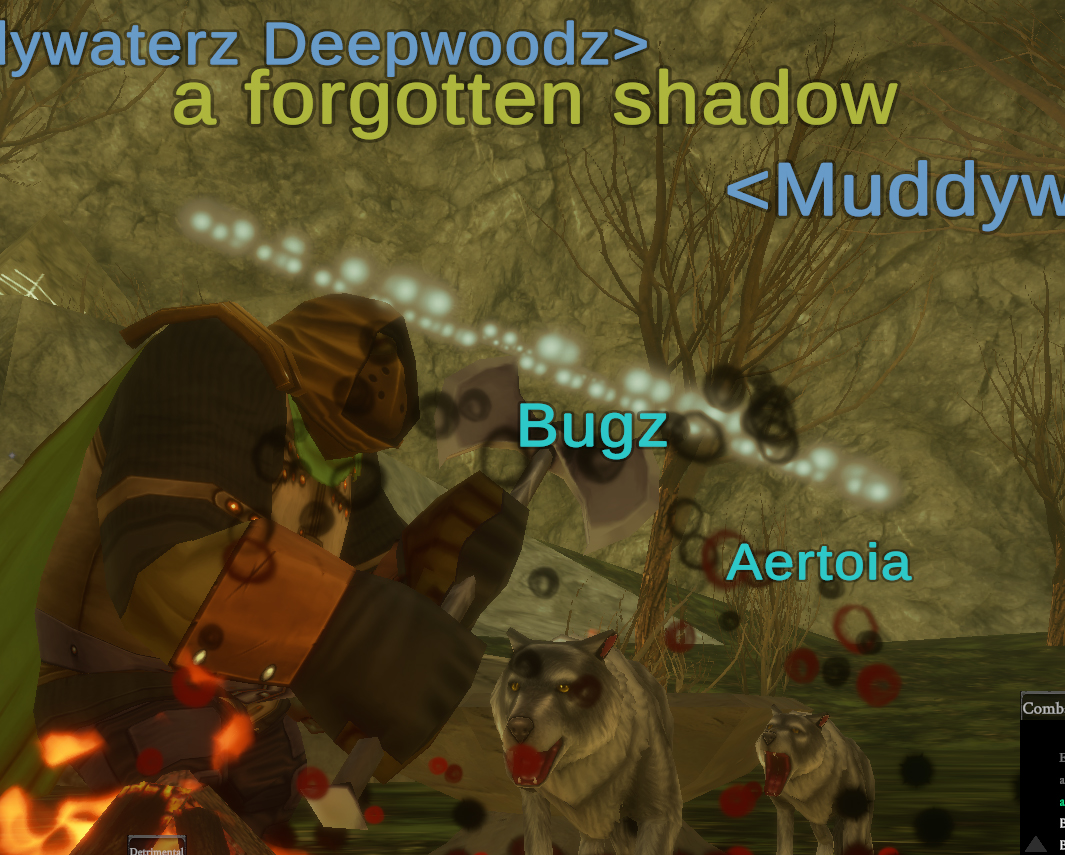 a forgotten shadow
