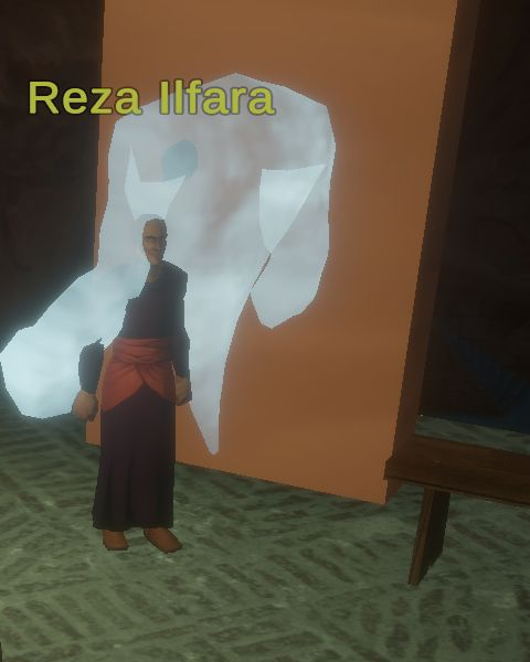 Reza Ilfara, Night Harbor Elementalist spell vendor, standing in front of an elemental companion