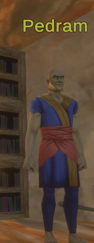 Pedram, an Elementalist spell vendor in the School of the Fourfold Path