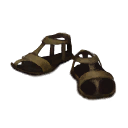 Master's Slippers