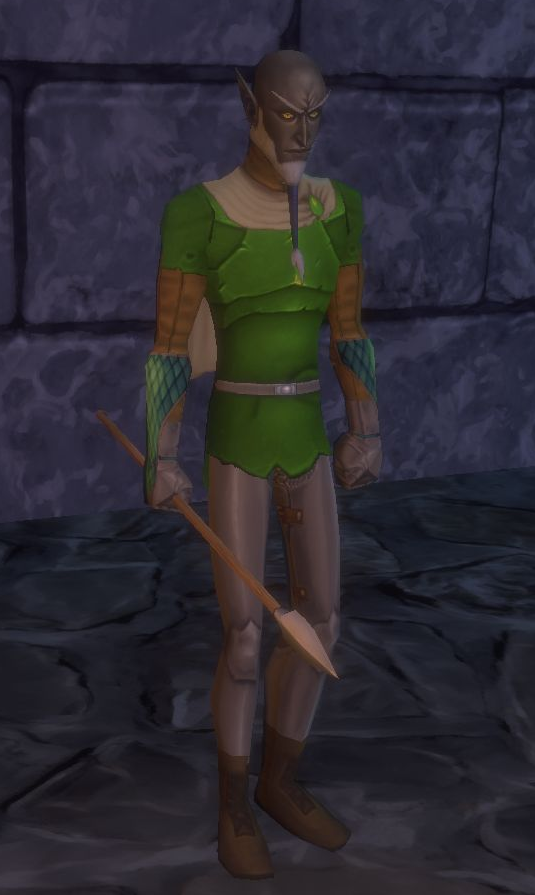Ail'vorith Inquisitor instructor wearing green armor and holding a staff