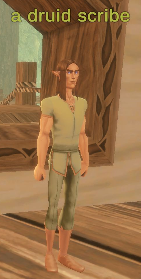 A druid scribe in Evershade Weald with the full overhead name visible