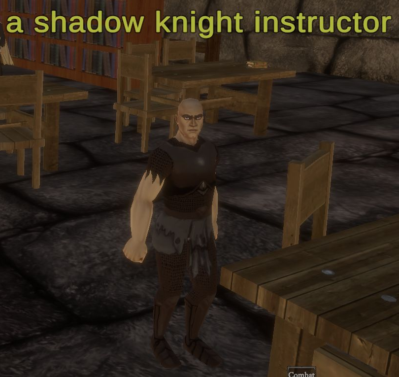 A shadow knight instructor in Night Harbor with the full overhead name visible