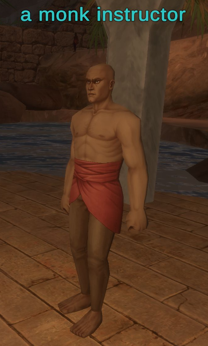 A monk instructor in Night Harbor with the full overhead name visible