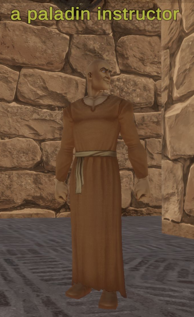 A paladin instructor in Night Harbor with the full overhead name visible