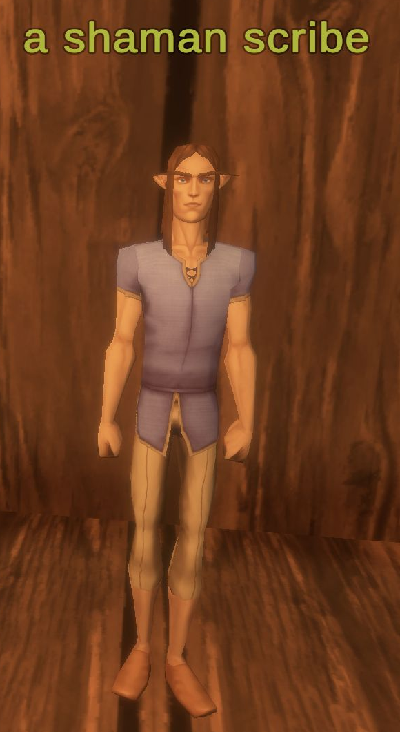 A shaman scribe in Evershade Weald with the full overhead name visible