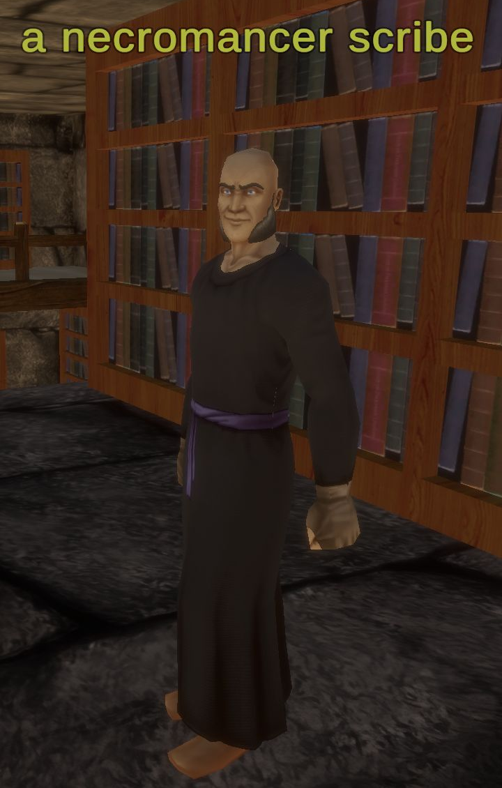 A necromancer scribe in Night Harbor with the full overhead name visible