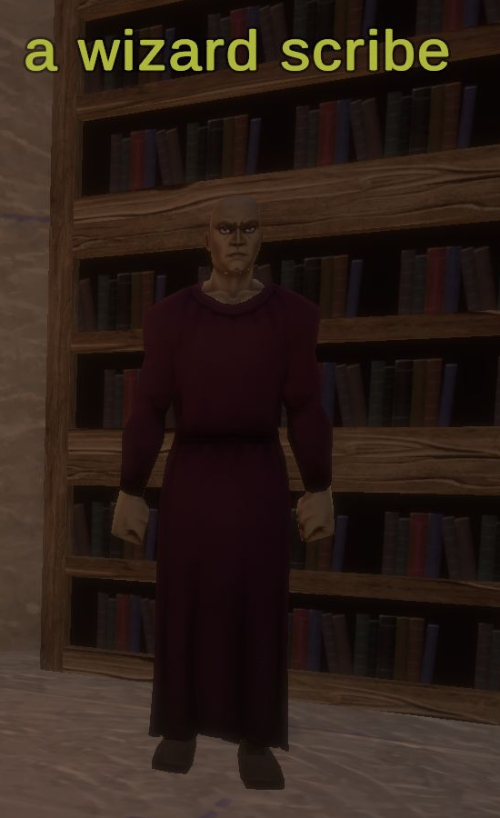 A wizard scribe in Night Harbor with the full overhead name visible