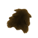 Bat Fur