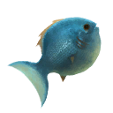 Basa