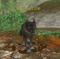 Rotmuzzle