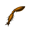 Boiled Scarab Legs