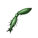 Crypt Scarab Leg