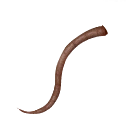 Ratman Tail