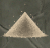 Debilitant Agent