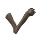 Rat Foot