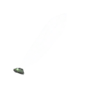 Wasp Wing