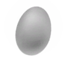 Snake Egg