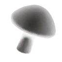 Edible Spore