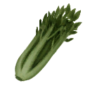 Celery