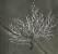 Stygian Moss