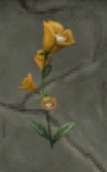 Phoenix Flower