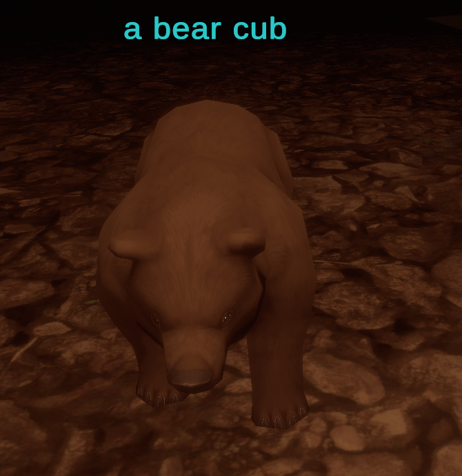 a bear cub