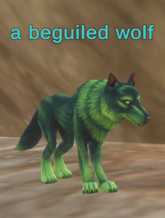 a beguiled wolf
