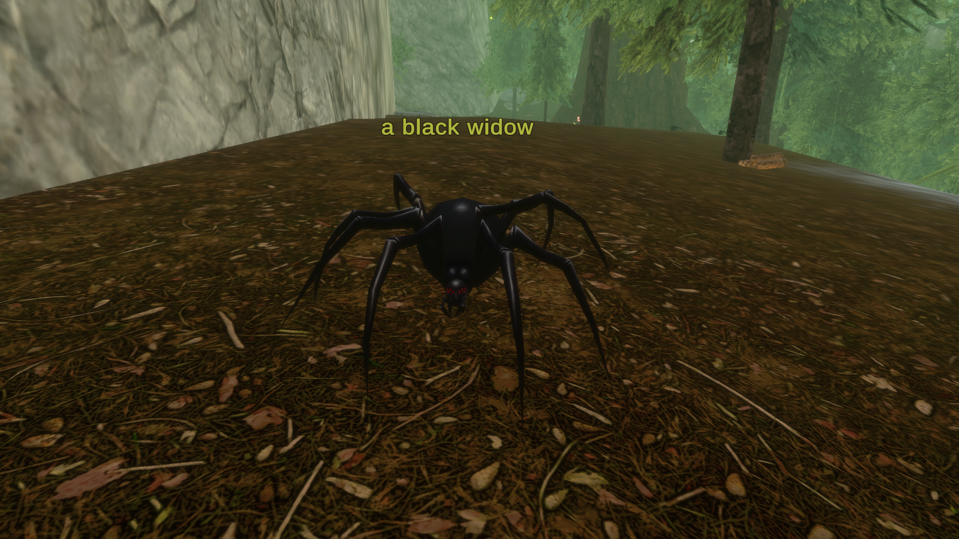 a black widow