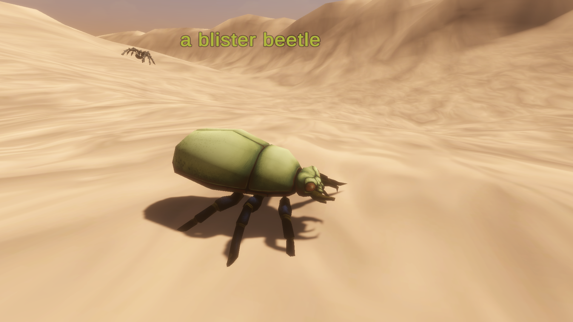 a blister beetle