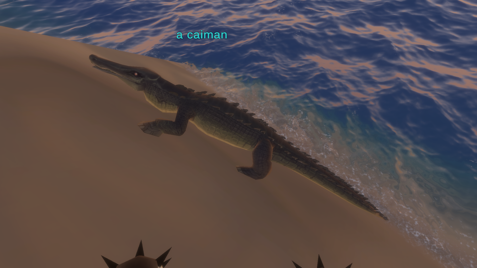 a caiman