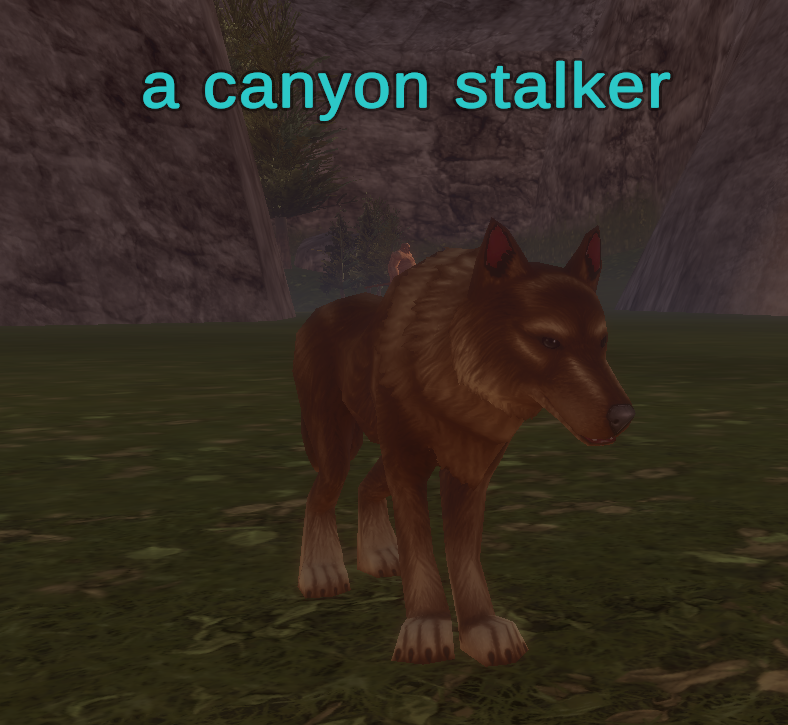 a canyon stalker