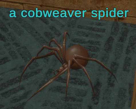 A cobweaver spider