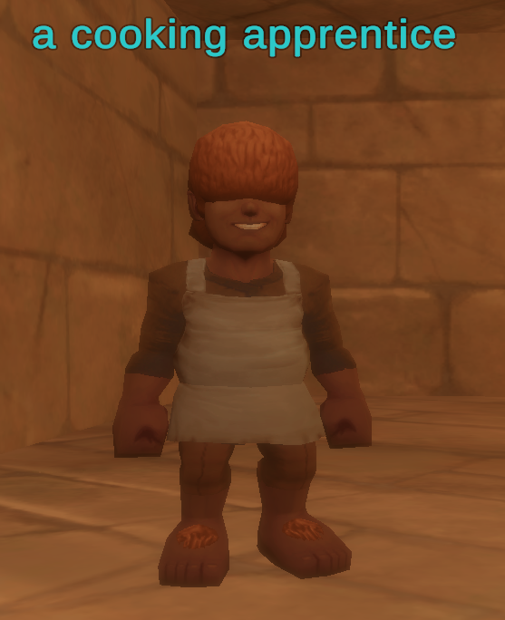 a cooking apprentice