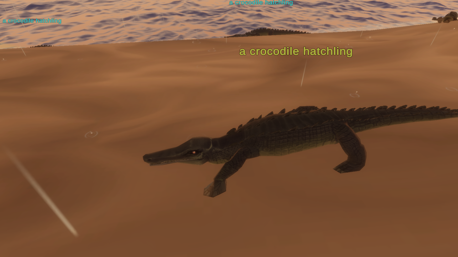a crocodile hatchling