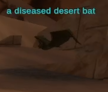a diseased desert bat