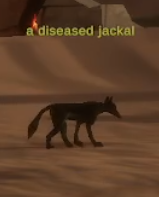 a diseased jackal
