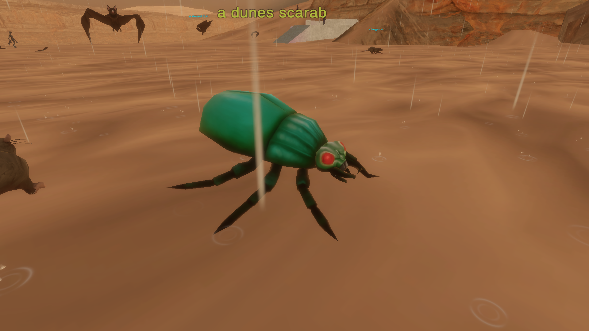 A dune scarab