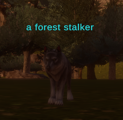 a forest stalker